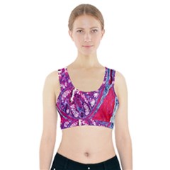 Histology Inc Histo Logistics Incorporated Masson s Trichrome Three Colour Staining Sports Bra With Pocket by Mariart