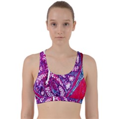 Histology Inc Histo Logistics Incorporated Masson s Trichrome Three Colour Staining Back Weave Sports Bra by Mariart