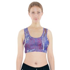 Histology Inc Histo Logistics Incorporated Human Liver Rhodanine Stain Copper Sports Bra With Pocket by Mariart