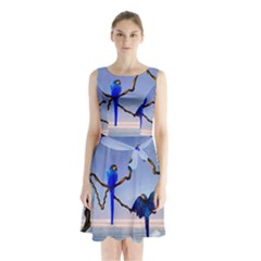 Wonderful Blue  Parrot Looking To The Ocean Sleeveless Waist Tie Chiffon Dress by FantasyWorld7