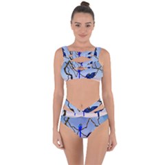 Wonderful Blue  Parrot Looking To The Ocean Bandaged Up Bikini Set  by FantasyWorld7