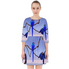 Wonderful Blue  Parrot Looking To The Ocean Smock Dress by FantasyWorld7