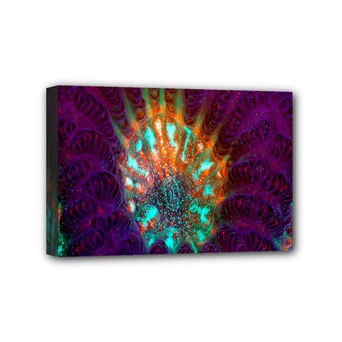 Live Green Brain Goniastrea Underwater Corals Consist Small Mini Canvas 6  X 4 