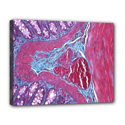 Natural Stone Red Blue Space Explore Medical Illustration Alternative Canvas 14  X 11  by Mariart