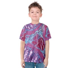 Natural Stone Red Blue Space Explore Medical Illustration Alternative Kids  Cotton Tee