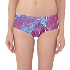 Natural Stone Red Blue Space Explore Medical Illustration Alternative Mid-waist Bikini Bottoms by Mariart