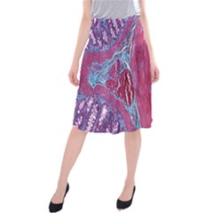 Natural Stone Red Blue Space Explore Medical Illustration Alternative Midi Beach Skirt by Mariart