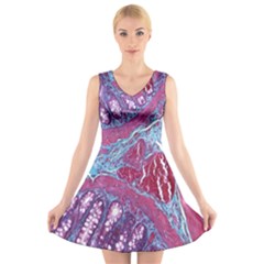 Natural Stone Red Blue Space Explore Medical Illustration Alternative V-neck Sleeveless Skater Dress by Mariart