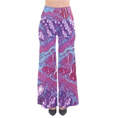 Natural Stone Red Blue Space Explore Medical Illustration Alternative Pants by Mariart