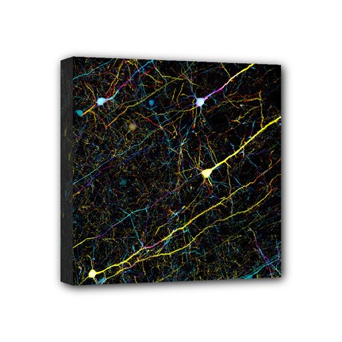 Neurons Light Neon Net Mini Canvas 4  X 4  by Mariart