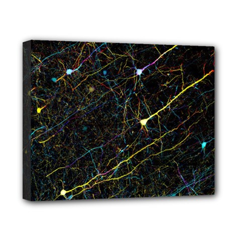 Neurons Light Neon Net Canvas 10  X 8  by Mariart