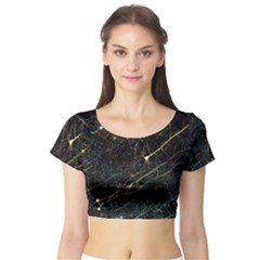 Neurons Light Neon Net Short Sleeve Crop Top (tight Fit) by Mariart