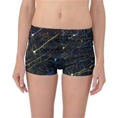 Neurons Light Neon Net Boyleg Bikini Bottoms