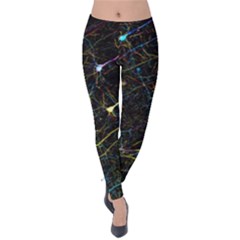 Neurons Light Neon Net Velvet Leggings