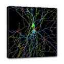 Synaptic Connections Between Pyramida Neurons And Gabaergic Interneurons Were Labeled Biotin During Mini Canvas 8  x 8  View1