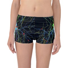 Synaptic Connections Between Pyramida Neurons And Gabaergic Interneurons Were Labeled Biotin During Boyleg Bikini Bottoms by Mariart