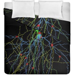 Synaptic Connections Between Pyramida Neurons And Gabaergic Interneurons Were Labeled Biotin During Duvet Cover Double Side (king Size) by Mariart