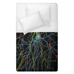 Synaptic Connections Between Pyramida Neurons And Gabaergic Interneurons Were Labeled Biotin During Duvet Cover (single Size)