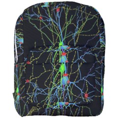 Synaptic Connections Between Pyramida Neurons And Gabaergic Interneurons Were Labeled Biotin During Full Print Backpack by Mariart