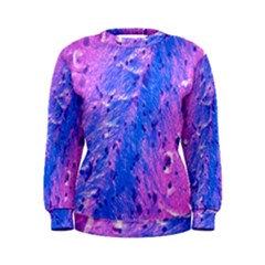 The Luxol Fast Blue Myelin Stain Women s Sweatshirt by Mariart