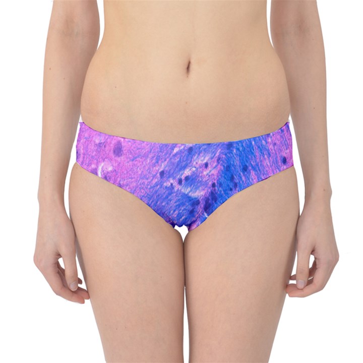 The Luxol Fast Blue Myelin Stain Hipster Bikini Bottoms