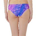 The Luxol Fast Blue Myelin Stain Hipster Bikini Bottoms View2