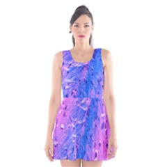 The Luxol Fast Blue Myelin Stain Scoop Neck Skater Dress