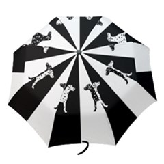 Dalmatian Dog Folding Umbrellas by Valentinaart