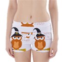 Halloween orange witch owl Boyleg Bikini Wrap Bottoms View1