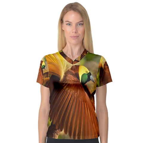 Birds Paradise Cendrawasih V-neck Sport Mesh Tee by Mariart