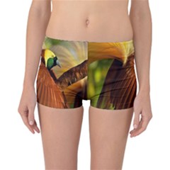 Birds Paradise Cendrawasih Reversible Boyleg Bikini Bottoms by Mariart