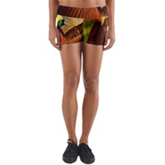 Birds Paradise Cendrawasih Yoga Shorts