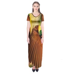 Birds Paradise Cendrawasih Short Sleeve Maxi Dress by Mariart