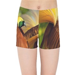 Birds Paradise Cendrawasih Kids Sports Shorts