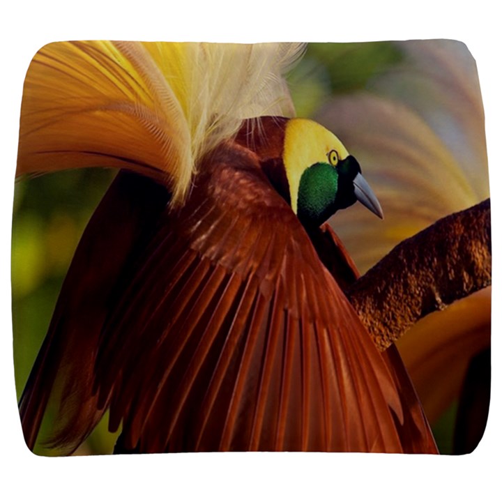 Birds Paradise Cendrawasih Back Support Cushion