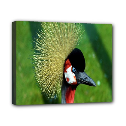 Bird Hairstyle Animals Sexy Beauty Canvas 10  X 8 