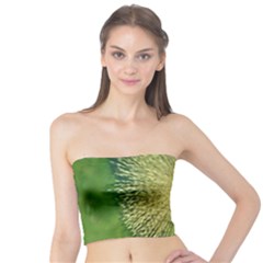 Bird Hairstyle Animals Sexy Beauty Tube Top by Mariart