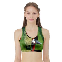 Bird Hairstyle Animals Sexy Beauty Sports Bra With Border by Mariart