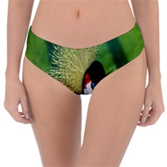 Bird Hairstyle Animals Sexy Beauty Reversible Classic Bikini Bottoms