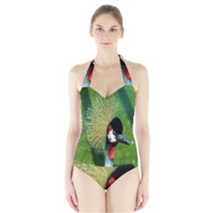 Bird Hairstyle Animals Sexy Beauty Halter Swimsuit by Mariart