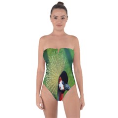 Bird Hairstyle Animals Sexy Beauty Tie Back One Piece Swimsuit by Mariart