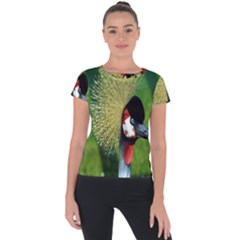 Bird Hairstyle Animals Sexy Beauty Short Sleeve Sports Top 