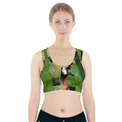 Bird Hairstyle Animals Sexy Beauty Sports Bra With Pocket by Mariart