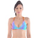 Aurora Rainbow Orange Pink Purple Blue Green Colorfull Plunge Bikini Top View1