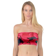 Red Poinsettia Flower Bandeau Top by Mariart