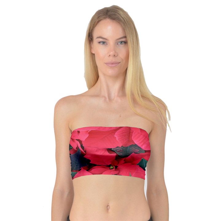 Red Poinsettia Flower Bandeau Top