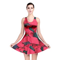 Red Poinsettia Flower Reversible Skater Dress by Mariart