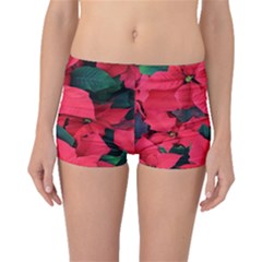 Red Poinsettia Flower Boyleg Bikini Bottoms