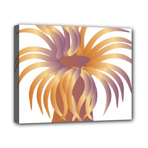 Sea Anemone Canvas 10  X 8  by Mariart