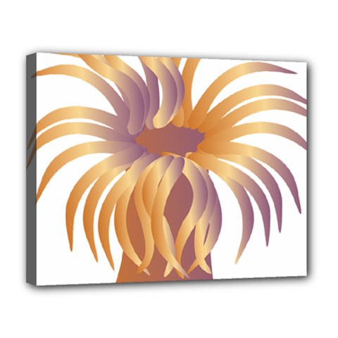 Sea Anemone Canvas 14  X 11  by Mariart